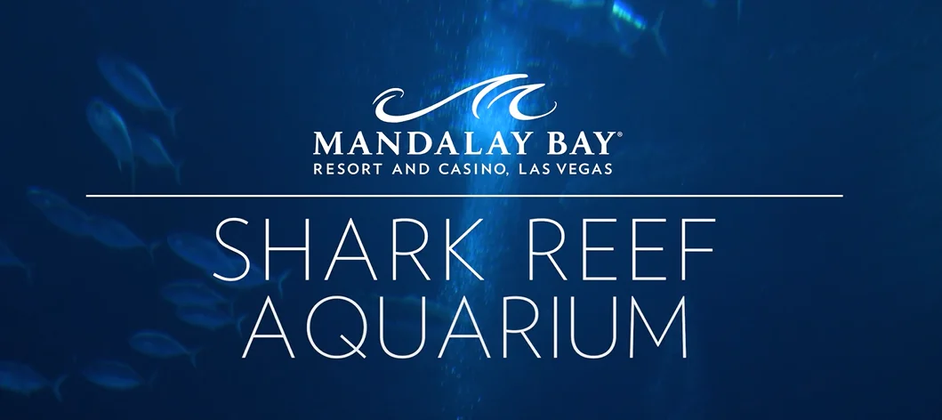 Shark Reef Aquarium at Mandalay Bay Las Vegas